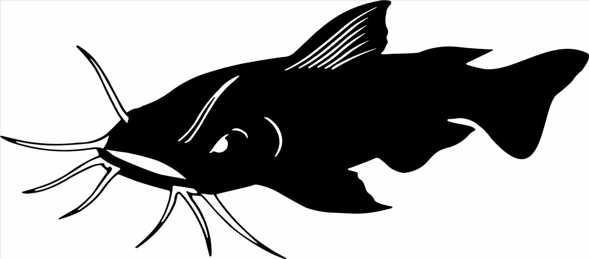 Catfish clipart cat fish. Drawing group cliparts zone