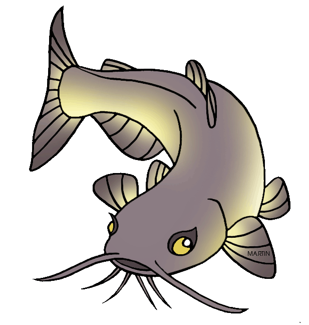 Catfish clipart channel catfish, Catfish channel catfish Transparent