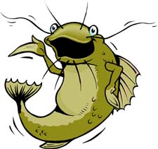 catfish clipart colored