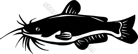 Catfish clipart cute. Fashionable cilpart