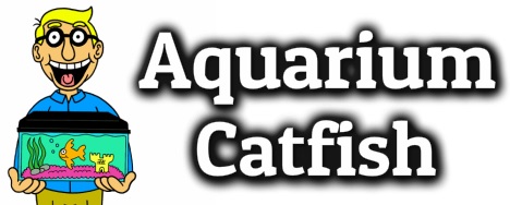 catfish clipart janitor fish