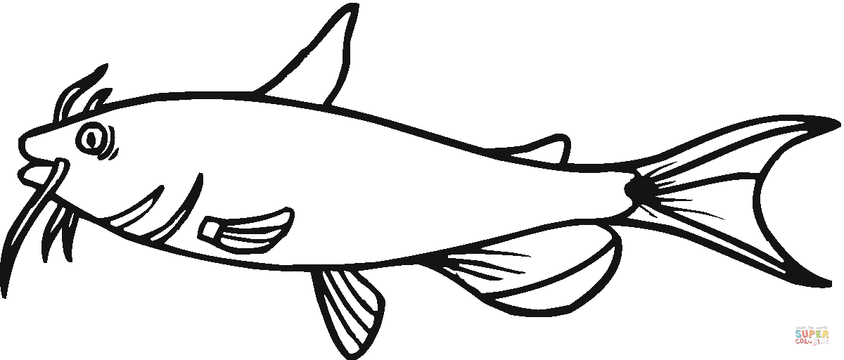 catfish clipart outline