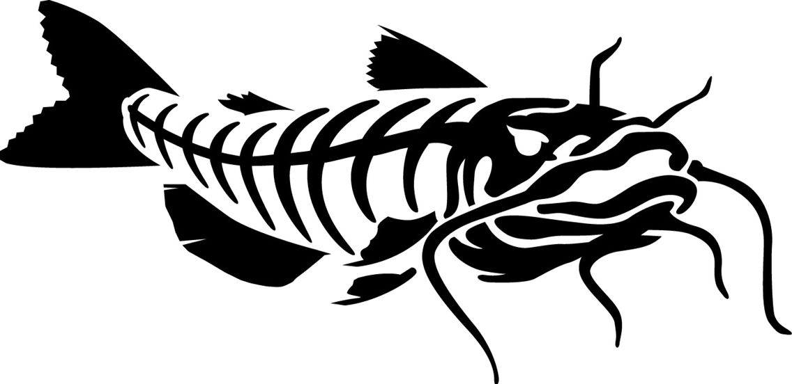 Download Catfish clipart skeleton, Catfish skeleton Transparent ...