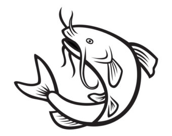 catfish clipart sketch