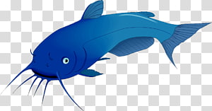 Catfish clipart transparent. Background png cliparts free