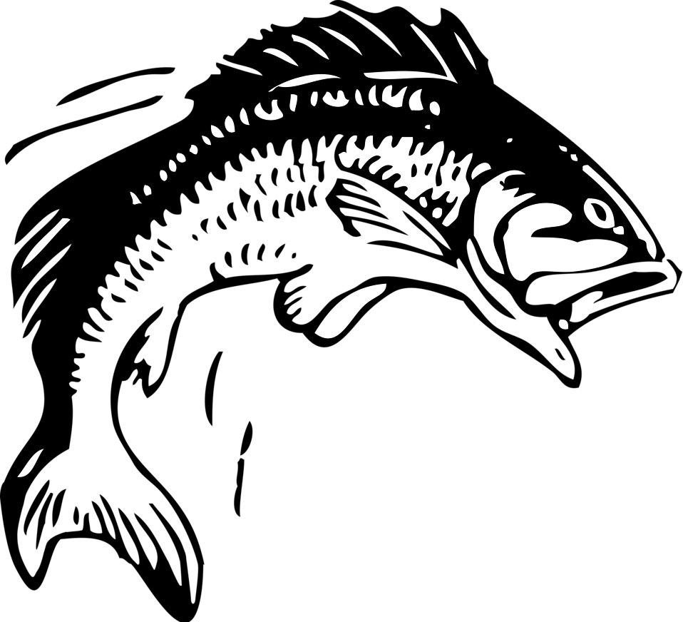 Catfish cliparts shop of. Jumping clipart black and white