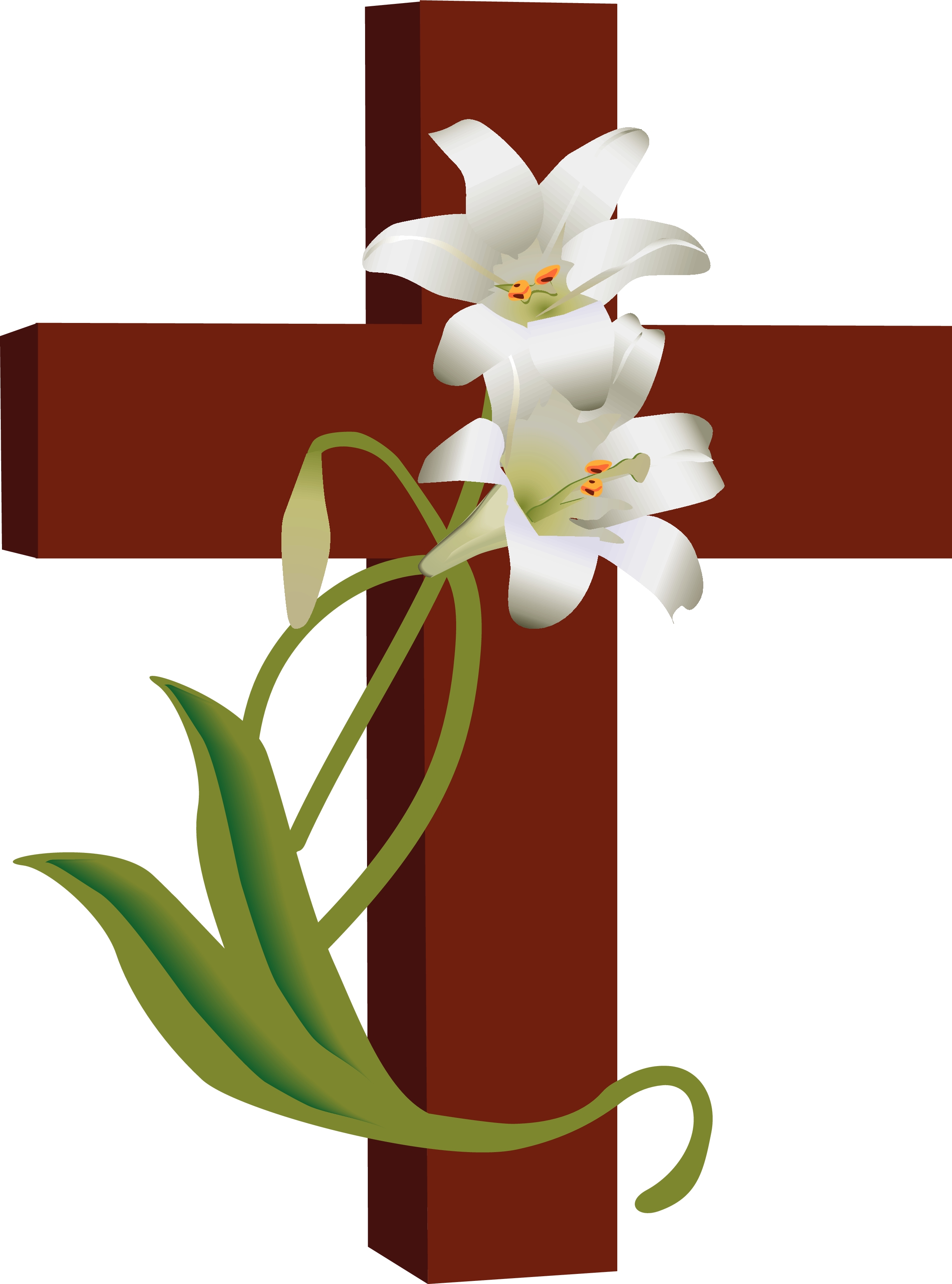 Free catholic flower cliparts. Funeral clipart peace lily