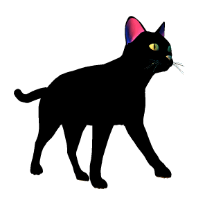 cats clipart animation