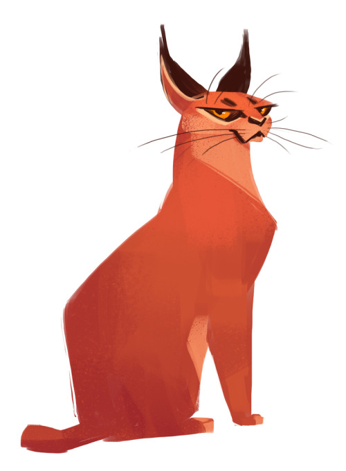 Cats clipart caracal. Daily cat drawings