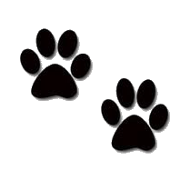 cats clipart paw print