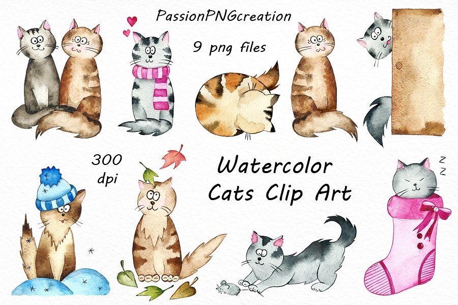 clipart cat watercolor