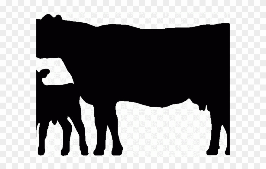 cows clipart dairy cow