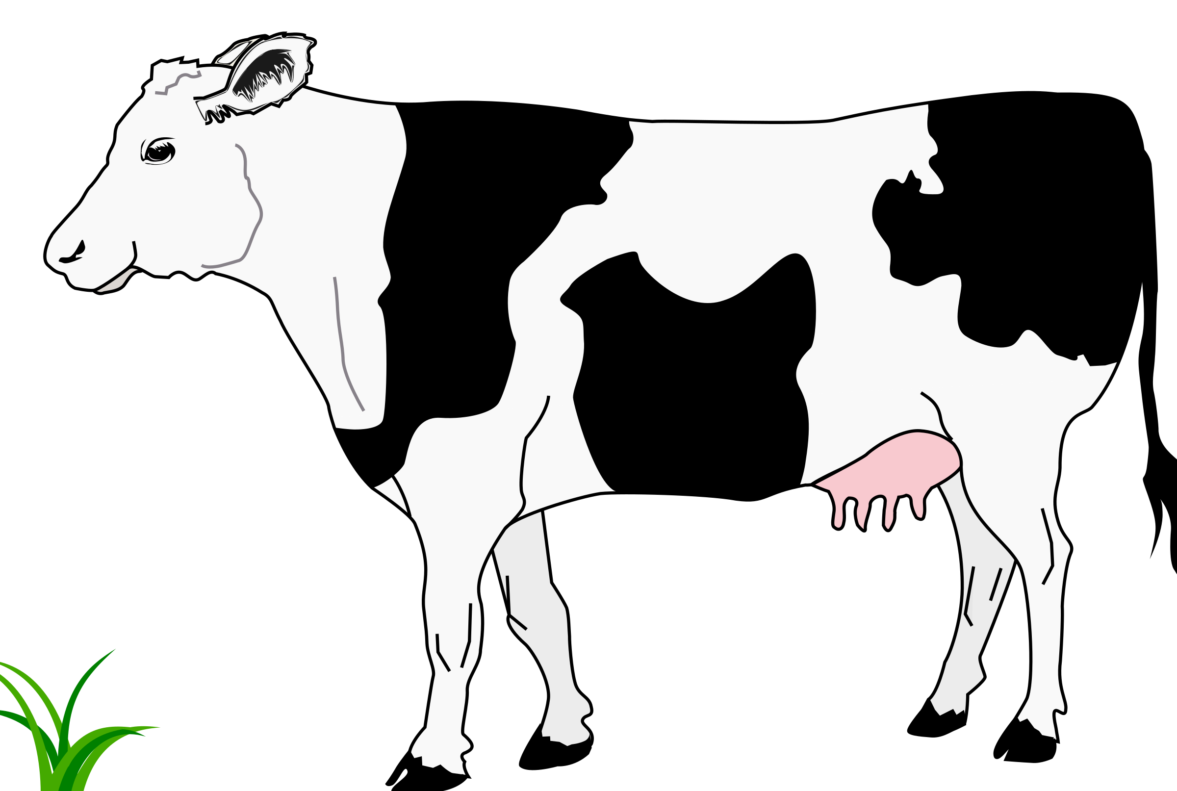 Black and white station. Clipart grass cow