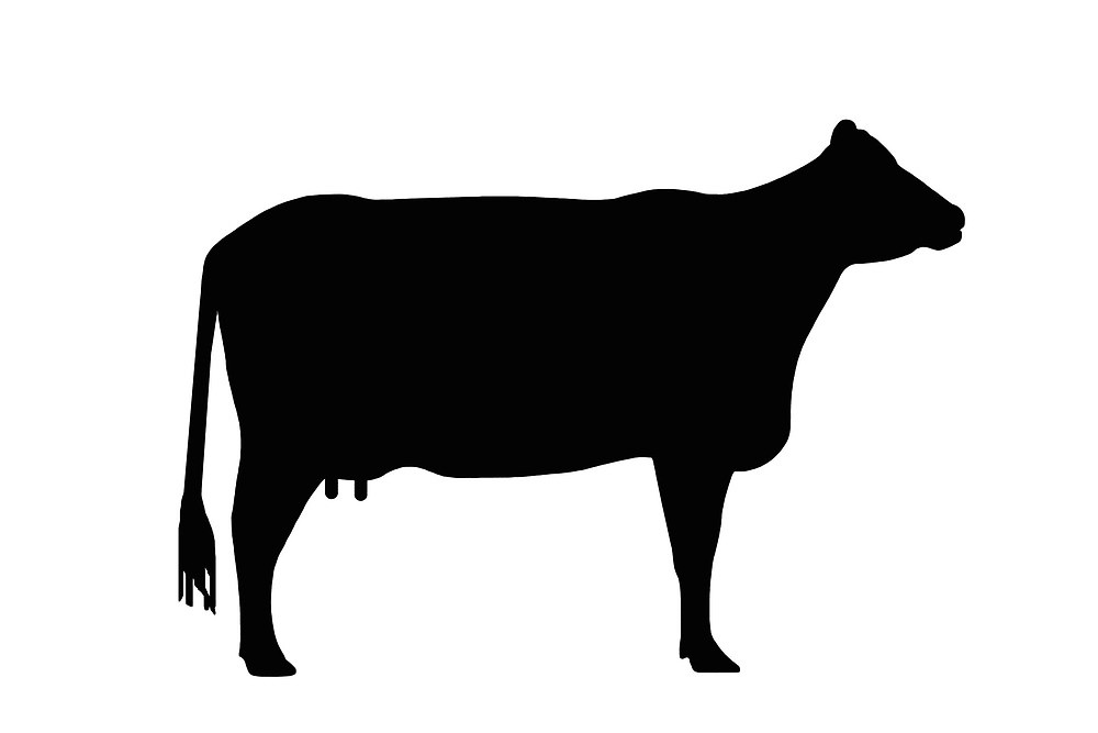 Cattle clipart black and white, Cattle black and white Transparent FREE ...