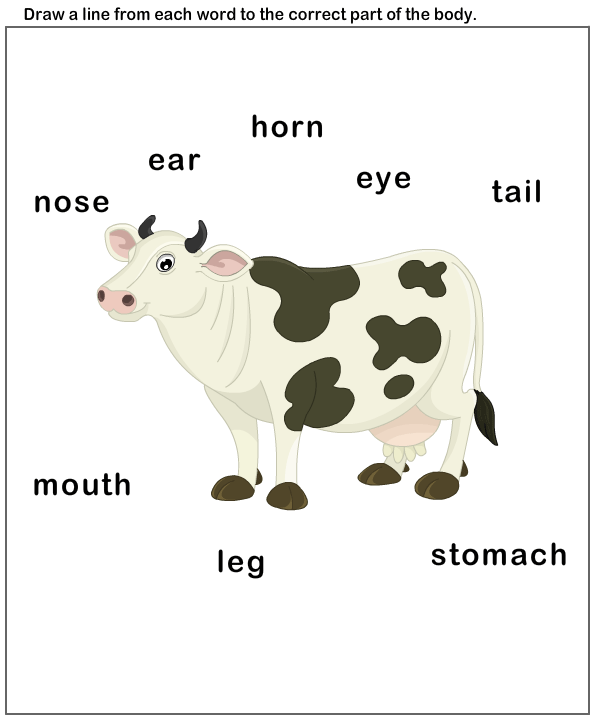 Cattle clipart body. Science worksheets preschool parts