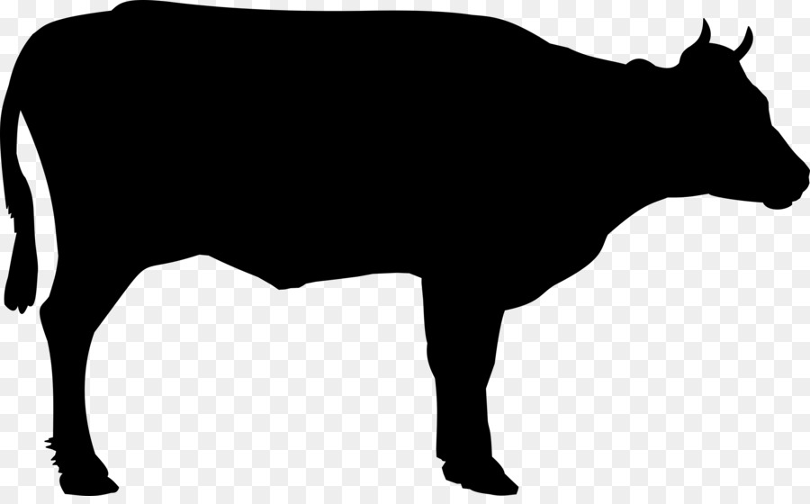 cattle clipart bull cow