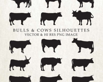 cattle clipart bull cow