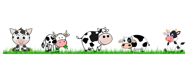 cattle clipart cattle herd