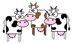 Cattle cattle herd