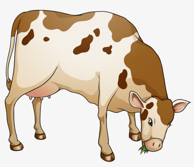 cattle clipart cow grazing