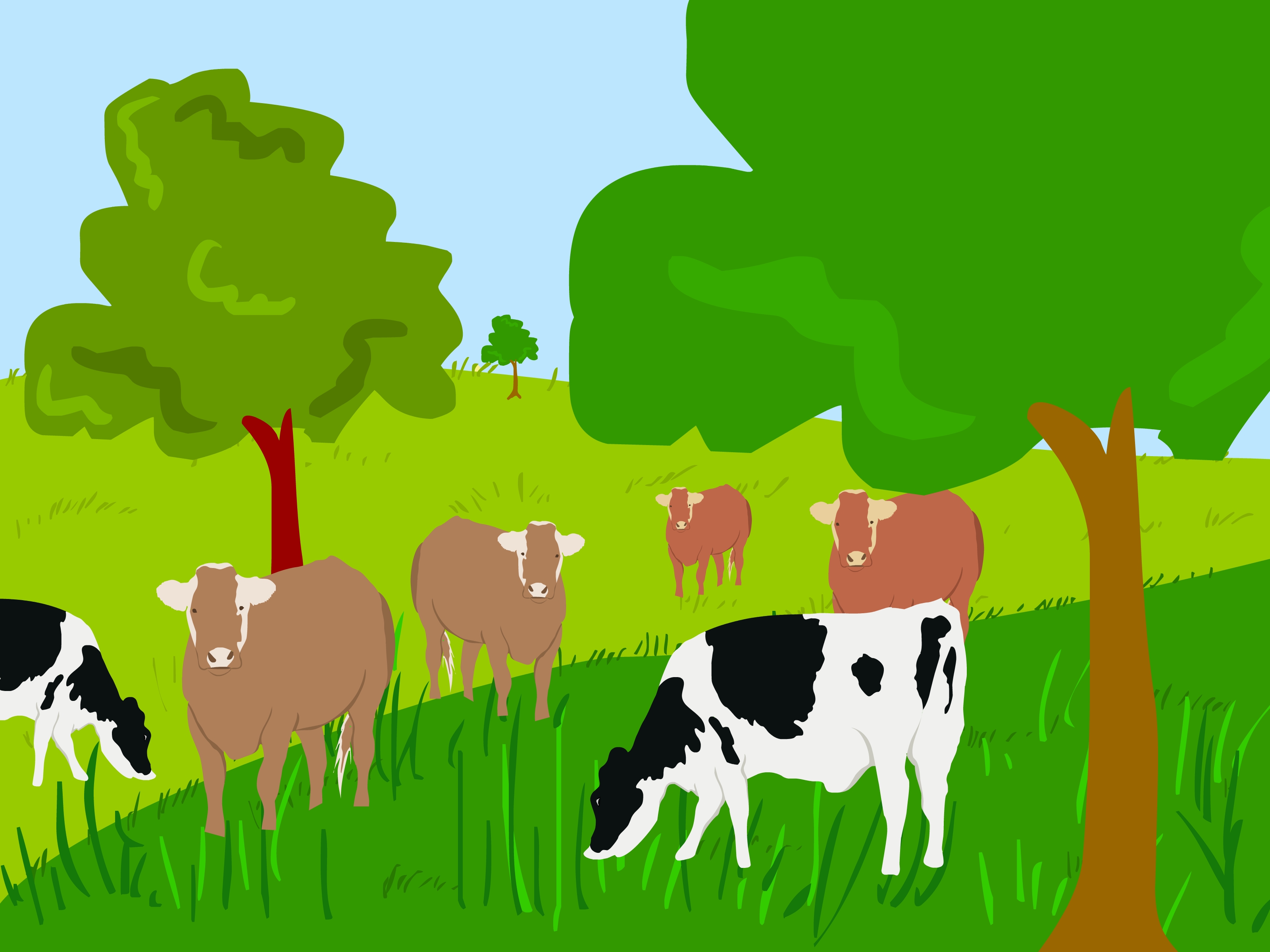 Коровы на пастбище вектор