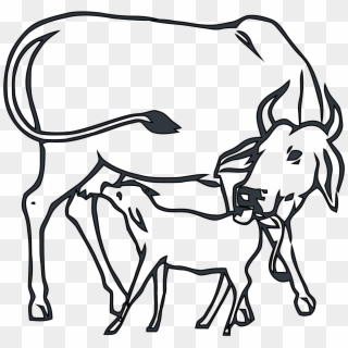 cow clipart cow indian