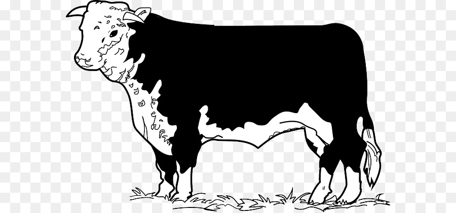 cattle clipart hereford cow