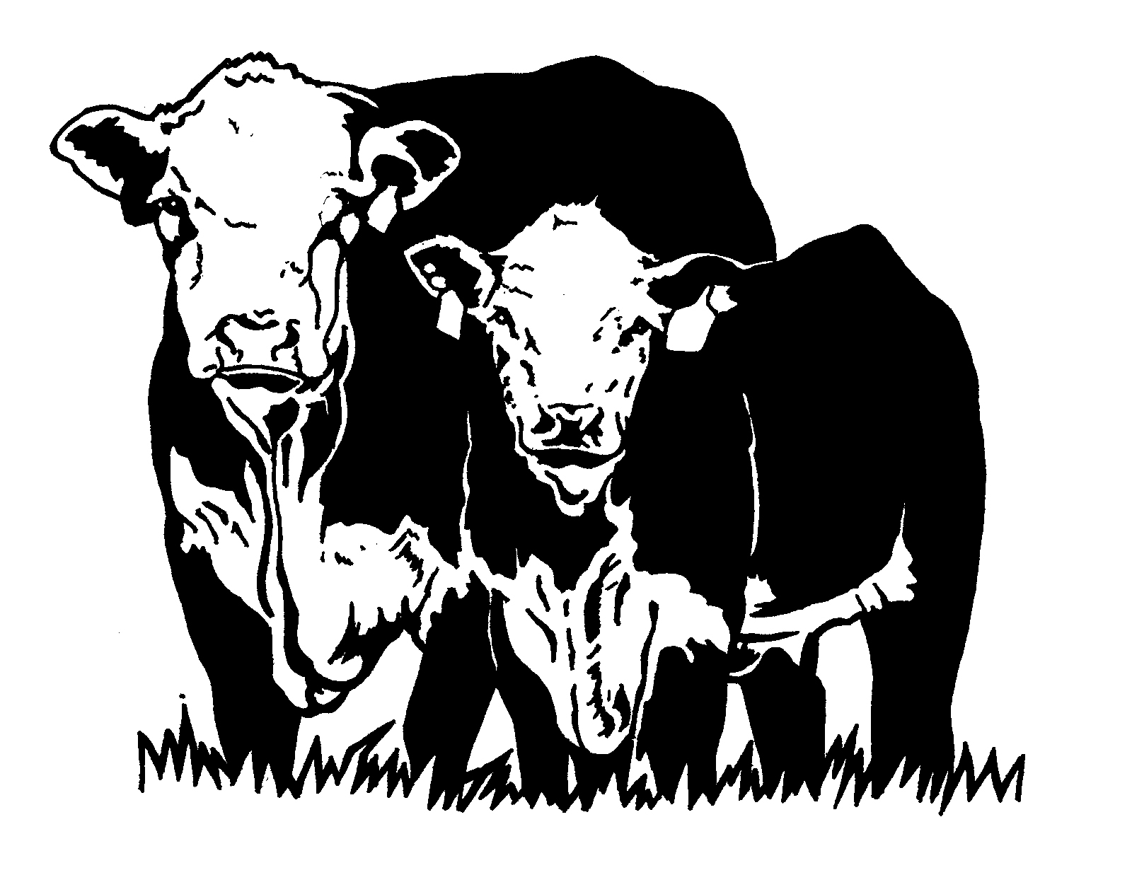 Download Cattle clipart hereford cow, Cattle hereford cow ...
