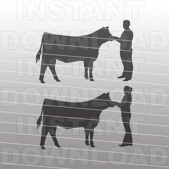 cattle clipart livestock