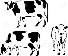 Dairy cow logos imagestack. Cattle clipart logo