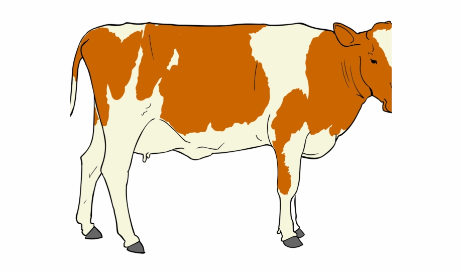 clipart cow realistic