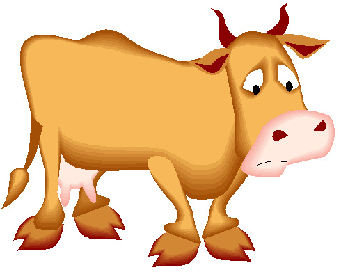cattle clipart male cow