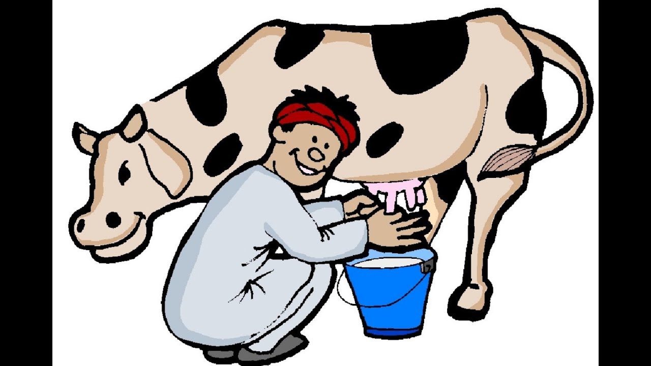 cattle clipart milk cow