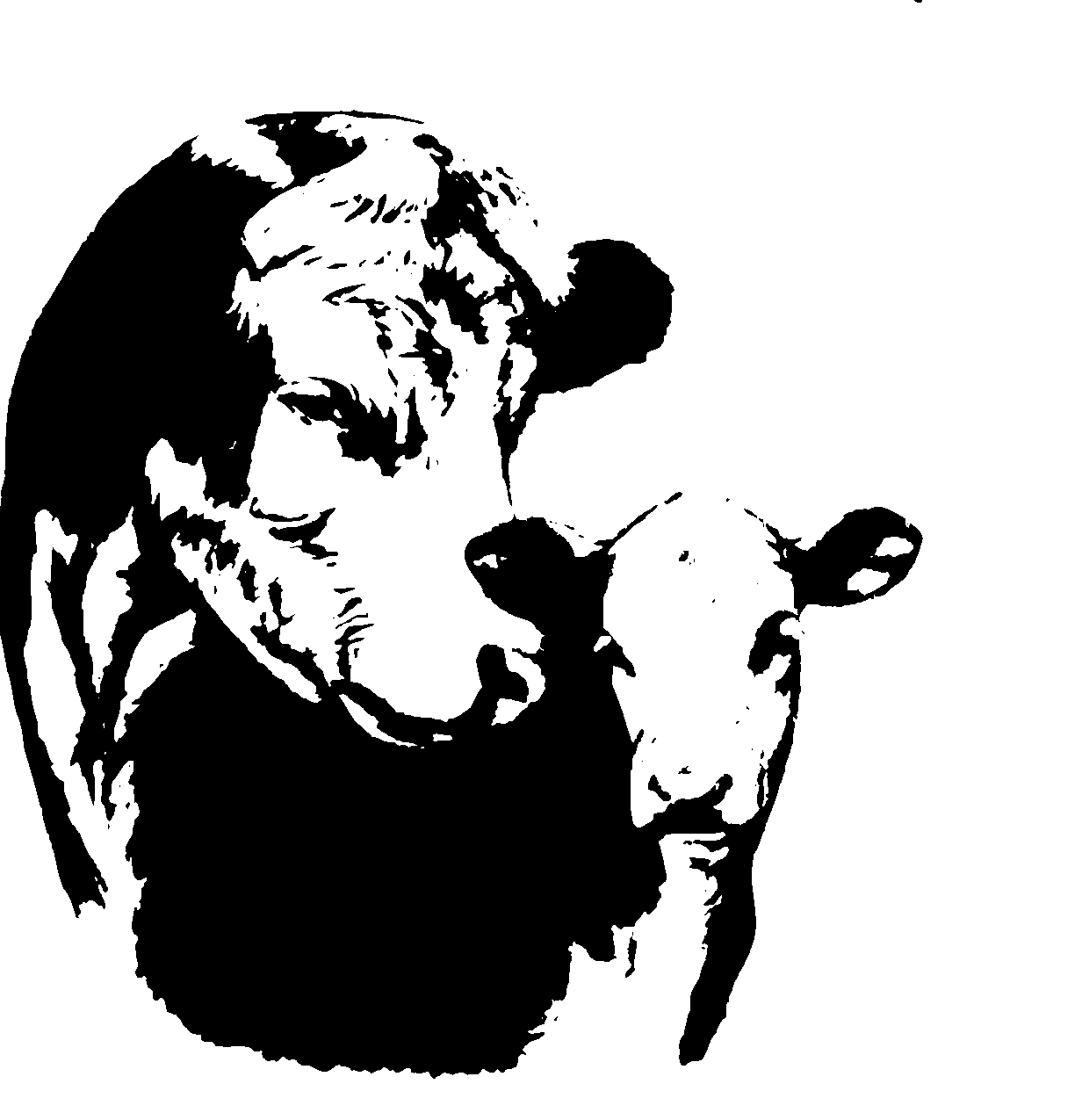 Download Cattle clipart polled hereford, Cattle polled hereford ...