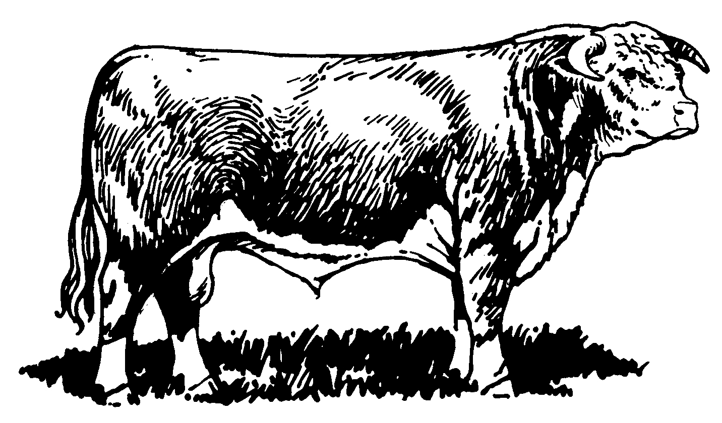 cattle clipart polled hereford