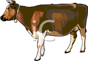 cattle clipart realistic