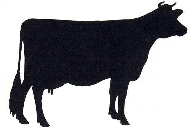 cattle clipart shadow