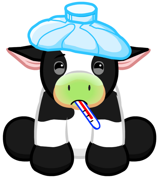 File holstein cow png. Cattle clipart sick