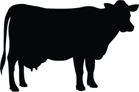 Cattle clipart silhouette, Cattle silhouette Transparent FREE for