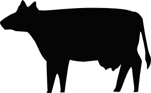 cattle clipart simple