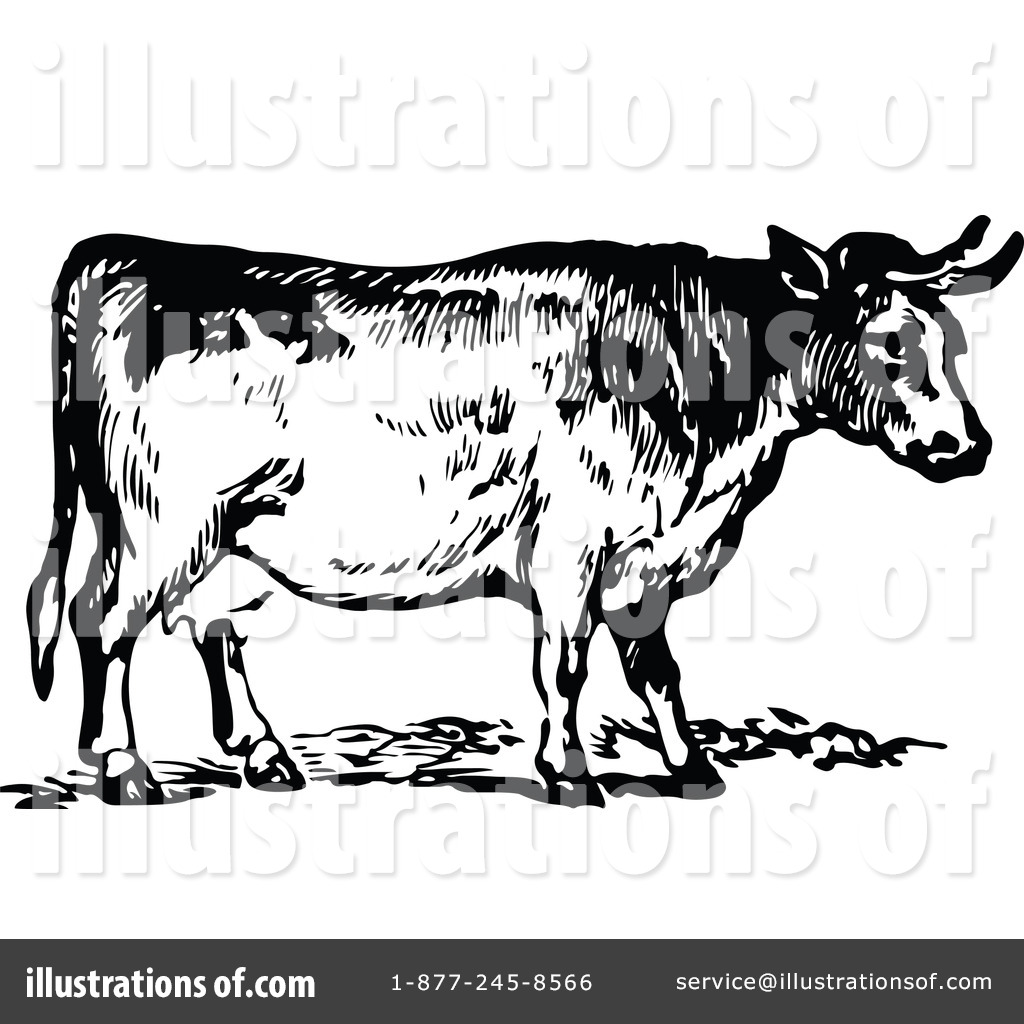 Cow illustration by prawny. Cattle clipart vintage