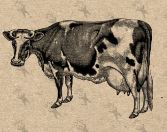 Cattle clipart vintage. Dairy farm etsy cow