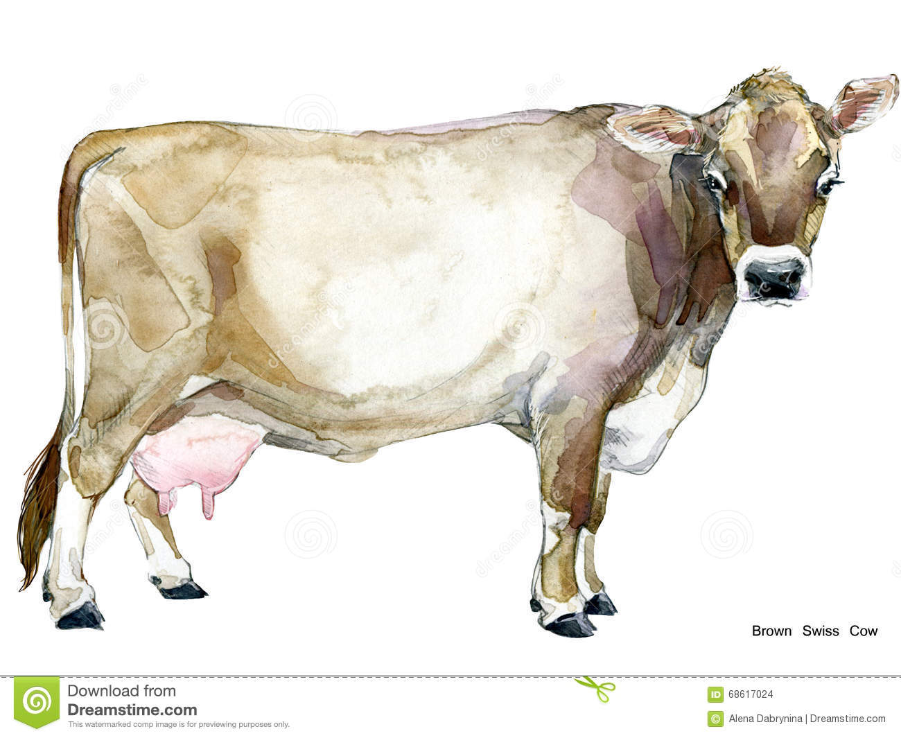 cattle clipart zebu