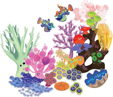 coral clipart underwate coral