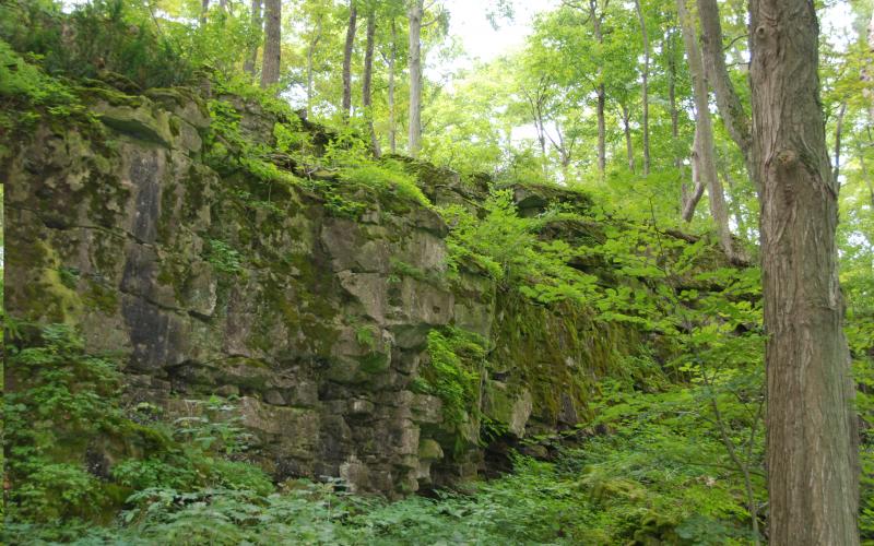 Springs conservation area niagara. Cave clipart forest cave