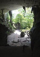 cave clipart jungle cave