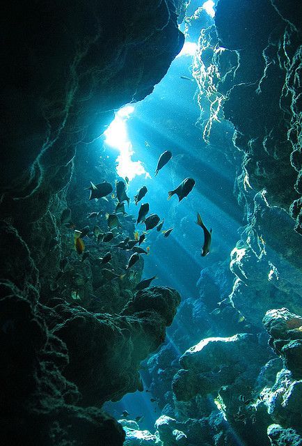 cave clipart ocean