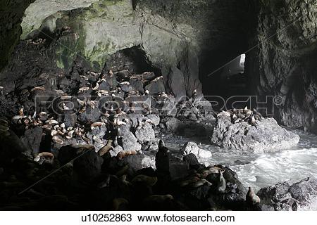 cave clipart under sea