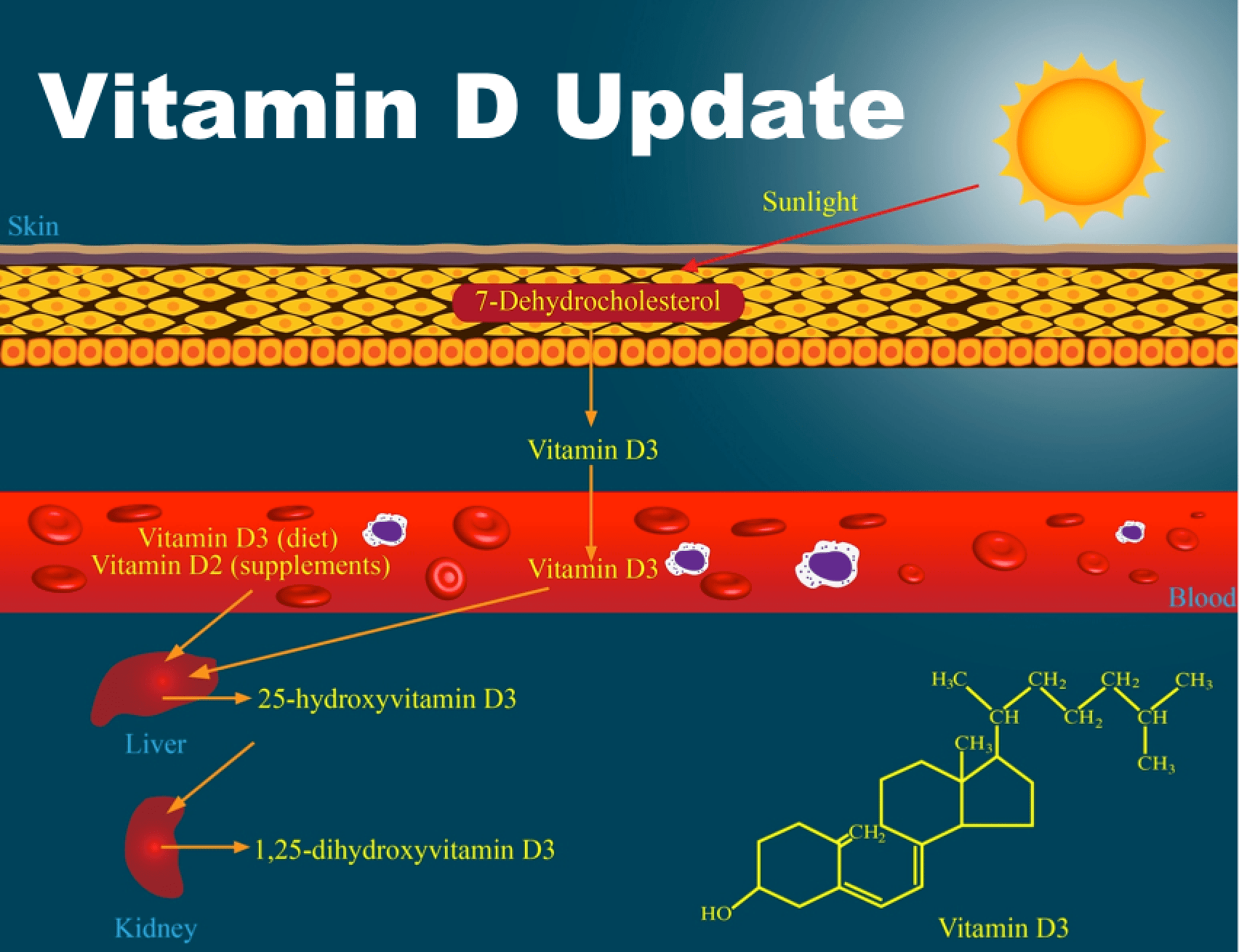 caveman clipart vitamin d
