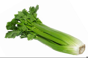 Celery clipart. Stalk free images at